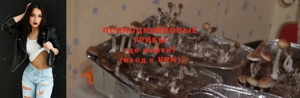2c-b Касимов
