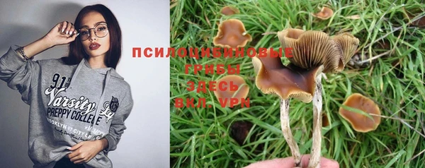2c-b Касимов